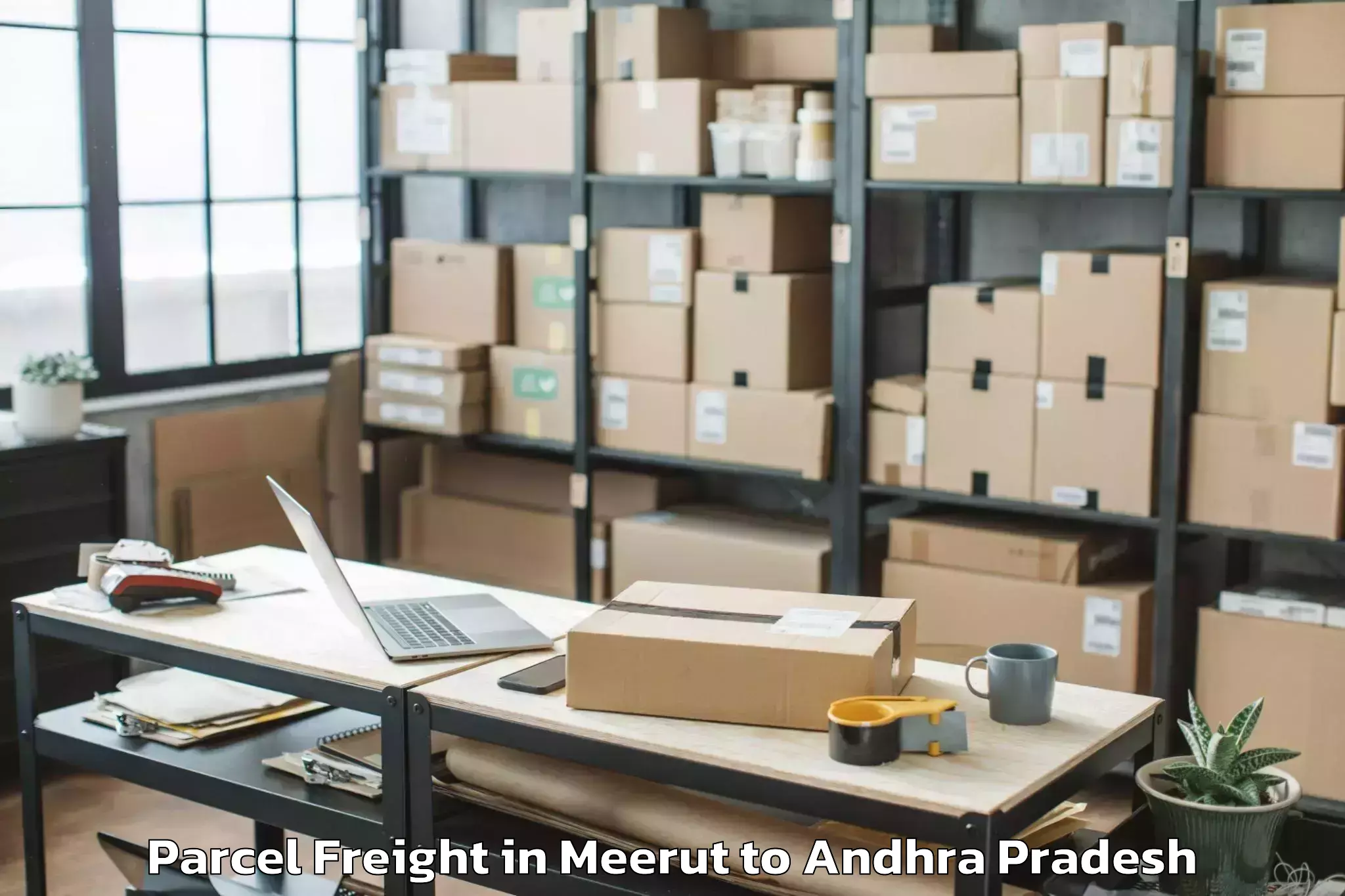 Expert Meerut to Kurabalakota Parcel Freight